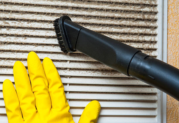 Air Duct Mold Removal in Odem, TX